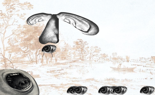 The nose transports the eye. The nose transports the eye.